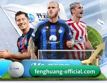 凤凰体育 官方入口与备用网址检查说明