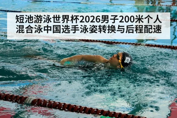 swimmer freestyle stroke